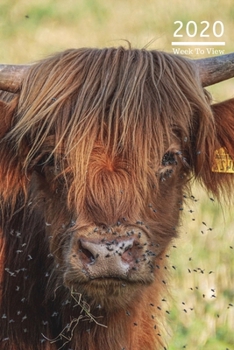 2020 A5 Diary Week To View Planner For All Occasions: | Year Planner For Business, Office, Home, University, College, School, Appointments, Organizer.