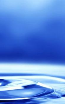 Hardcover The Life of a Low-Carb Zealot Book