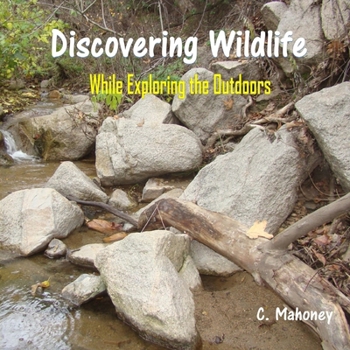 Discovering Wildlife While Exploring the Outdoors