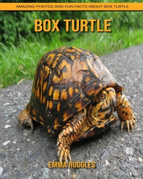 Paperback Box Turtle: Amazing Photos and Fun Facts about Box Turtle Book