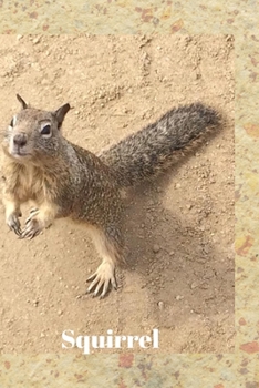 Paperback Squirrel Book