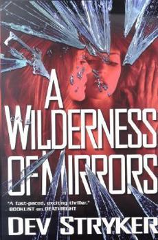 A Wilderness of Mirrors (Amelia Pierce Mysteries) - Book #2 of the Amelia Pierce