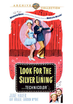 DVD Look For The Silver Lining Book