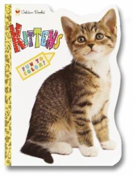 Paperback KITTENS Book
