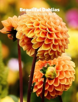 Beautiful Dahlias Full-Color Picture Book: Flower Picture Book for Children, Seniors and Alzheimer’s Patients -Flowers Nature Gardening