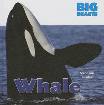 Whale - Book  of the Big Beasts