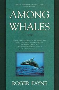 Paperback Among Whales Book