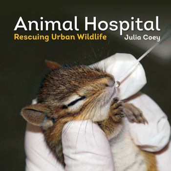 Paperback Animal Hospital: Rescuing Urban Wildlife Book