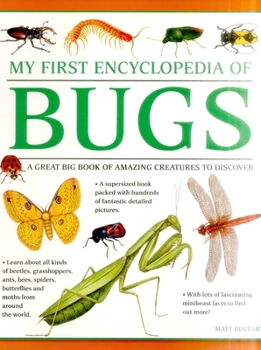 Paperback My First Encylopedia of Bugs: A First Encyclopedia with Supersize Pictures Book
