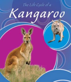 Paperback The Life Cycle of a Kangaroo Book