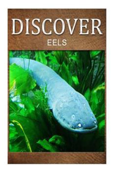 Paperback Eels - Discover: Early reader's wildlife photography book