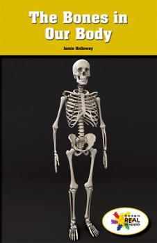 Paperback The Bones in Our Body Book