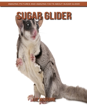 Paperback Sugar Glider: Amazing Pictures and Amazing Facts about Sugar Glider Book