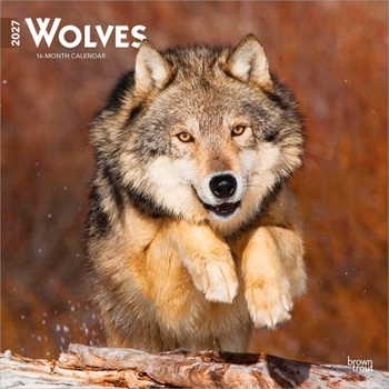 Paper Catalog Wolves 2027 12 X 24 Inch (Hanging) Monthly Square Wall Calendar Plastic-Free Book