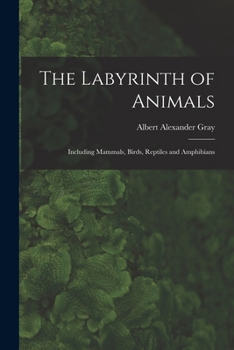 Paperback The Labyrinth of Animals: Including Mammals, Birds, Reptiles and Amphibians Book