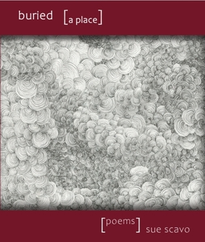 Paperback Buried [A Place] Book