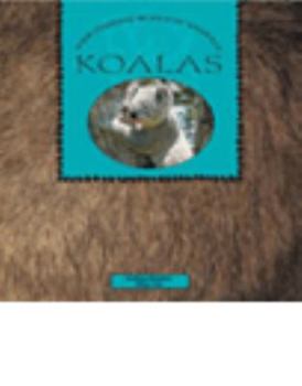 Paperback Koalas Book