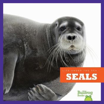 Seals - Book  of the Life Under the Sea