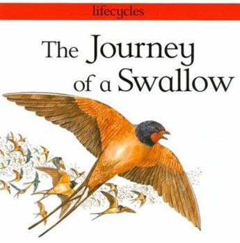 Paperback The Journey of a Swallow Book