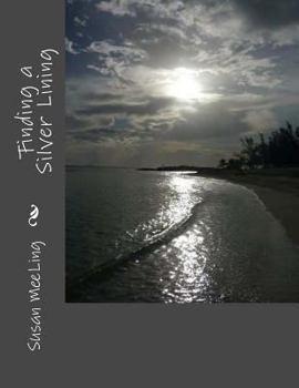 Finding the Silver Lining