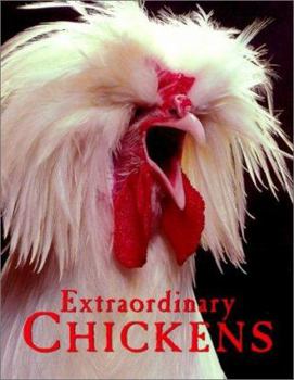 Paperback Extraordinary Chickens: Boxed Notecards Book