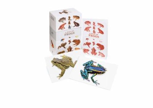 Card Book A Box of Frogs: 100 Beautiful Postcards Book