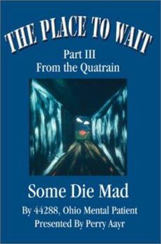 Paperback The Place To Wait: Part III of the quatrain Some Die Mad Book