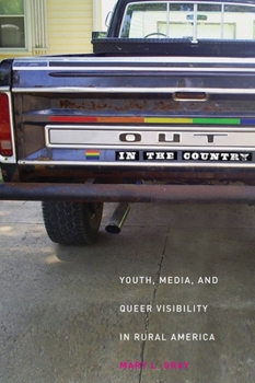 Out in the Country: Youth, Media, and Queer Visibility in Rural America - Book  of the Intersections: Transdisciplinary Perspectives on Genders and Sexualities