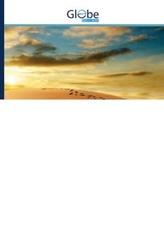 Paperback De toevallige zigeuner [Dutch] Book