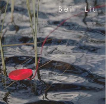 Paperback Beili Liu: Mining the Material Book