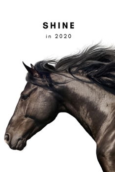 Shine in 2020: weekly planner with note pages and black stallion cover