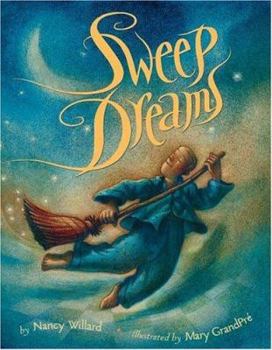 Hardcover Sweep Dreams Book