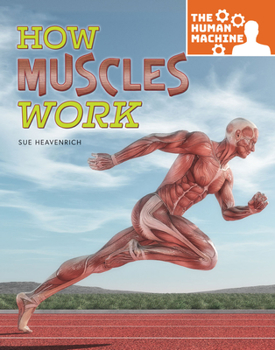 Paperback How Muscles Work Book