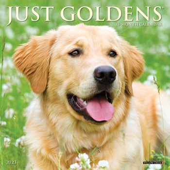 Calendar Just Goldens 2023 Mini Wall Calendar Book