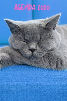 Agenda 2020: Hebdomadaire 1 Semaine par page Format A5 | Janvier 2020 à Décembre 2020 | Planificateur Organiseur Semainier avec Calendrier et Carnet ... Pour les Amoureux des Chats (French Edition)