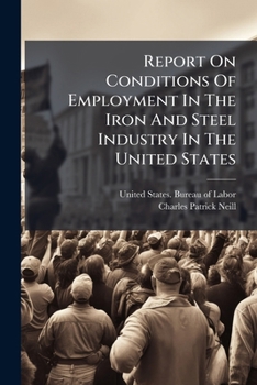 Report on Conditions of Employment in the Iron and Steel Industry in the United States