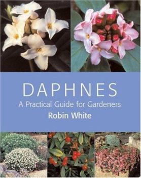 Hardcover Daphnes: A Practical Guide for Gardeners Book