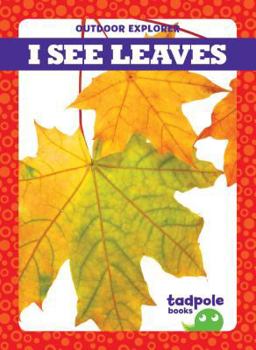 I See Leaves - Book  of the Outdoor Explorer