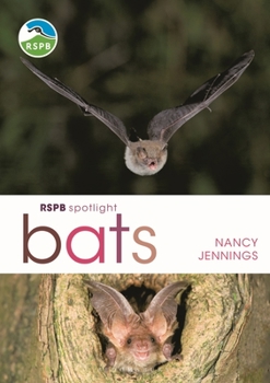 Paperback Rspb Spotlight Bats Book