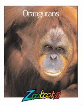 Hardcover Orangutans Book