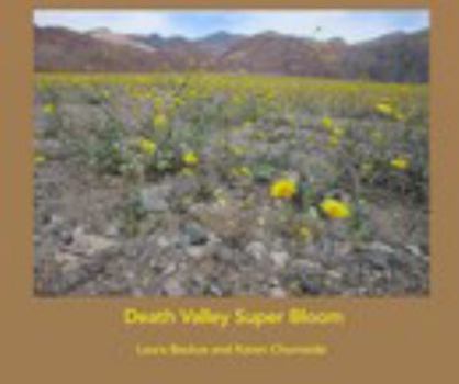 Paperback Death Valley Super Bloom Book