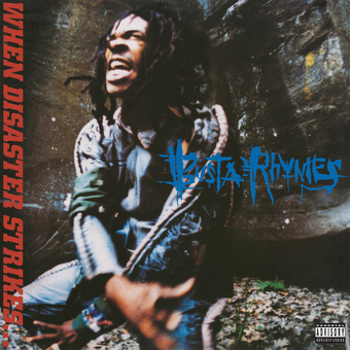 Vinyl When Disaster Strikes... Book