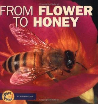 Hardcover From Flower to Honey Book