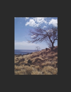 Paperback The Judas Stone Book