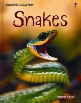 Snakes (Usborne Discovery Books) - Book  of the Usborne Discovery