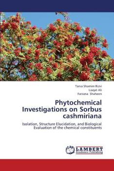 Paperback Phytochemical Investigations on Sorbus Cashmiriana Book