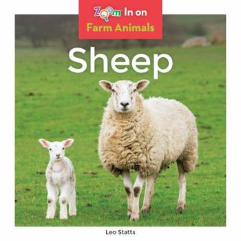 Sheep - Book  of the Farm Animals