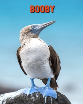 Paperback Booby: Beautiful Pictures & Interesting Facts Children Book About Booby Book