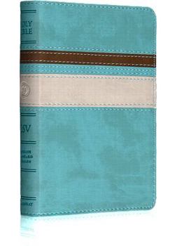 Imitation Leather Deluxe Compact Bible-ESV-Horizon Book