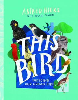 This Bird: Noticing Our Urban Birds